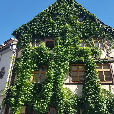 Ferienwohnung Am Erfurter Dom 外观 照片